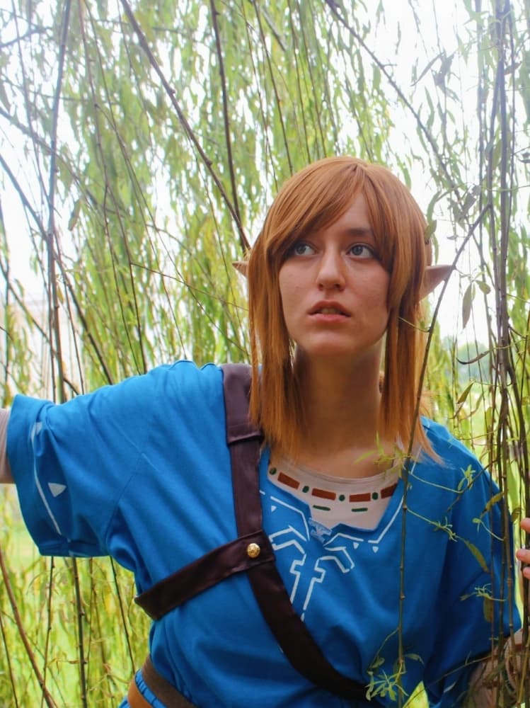 Link (Botw) - Photo 26