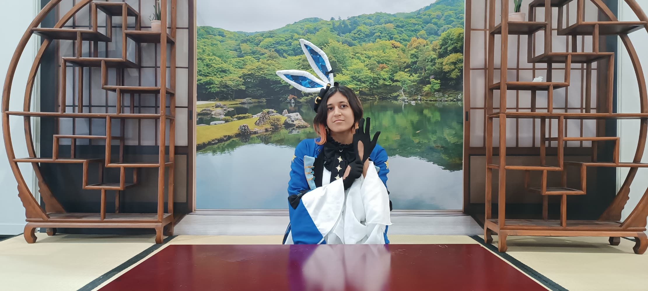 Bunny Furina - Photo 11