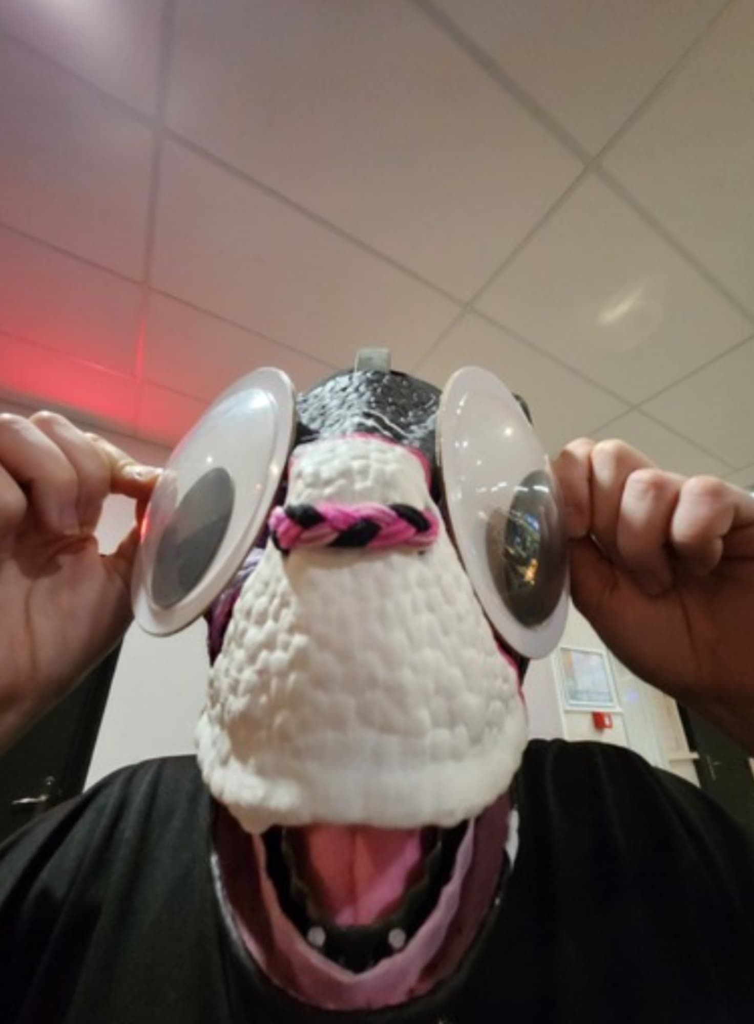 Conv/furmeet  - Photo 14