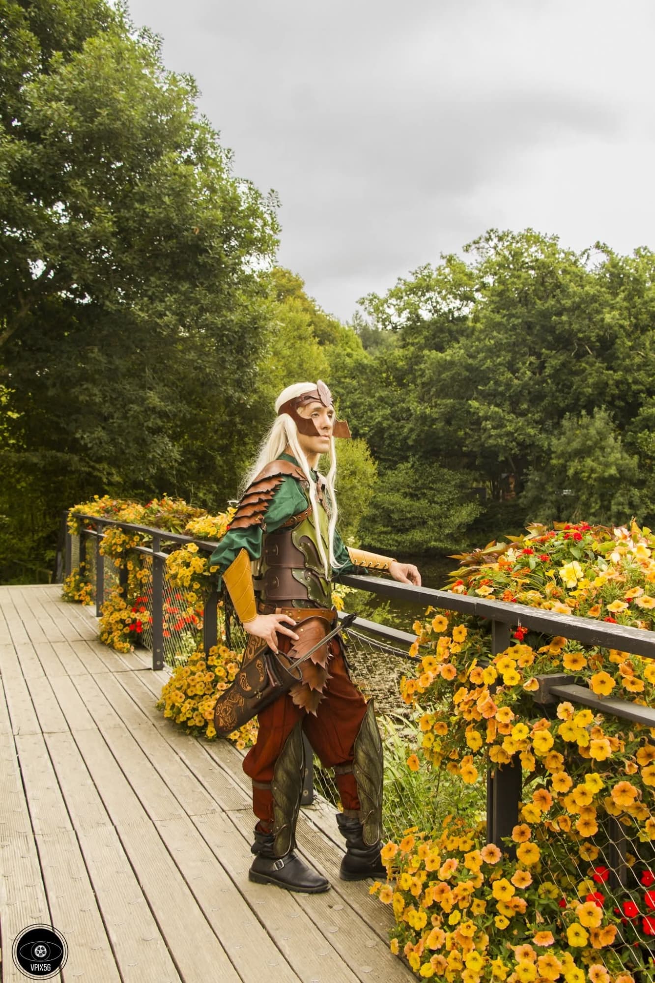 Elle sylvestre - Photo 5