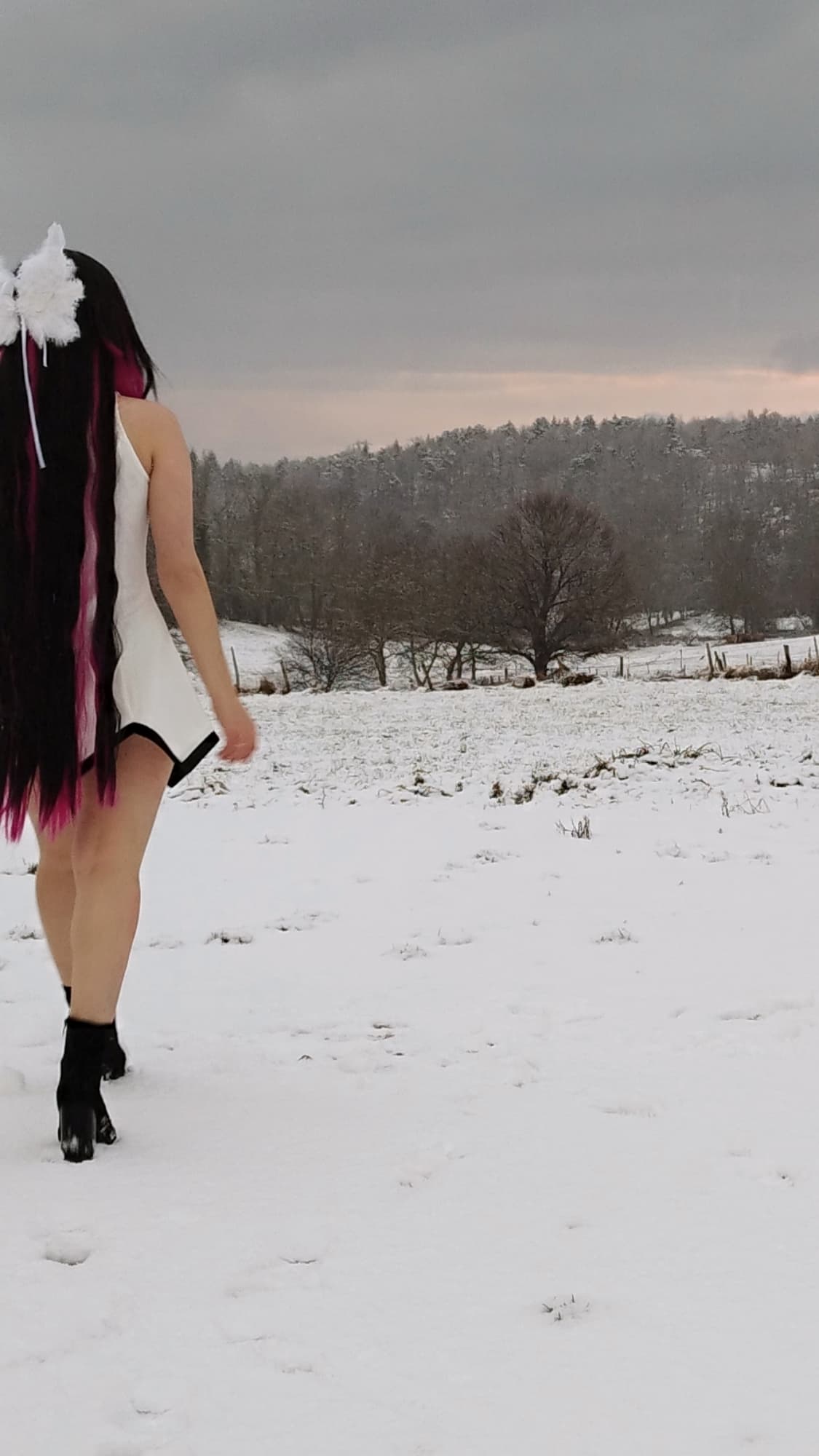 Columbina  - Photo 7