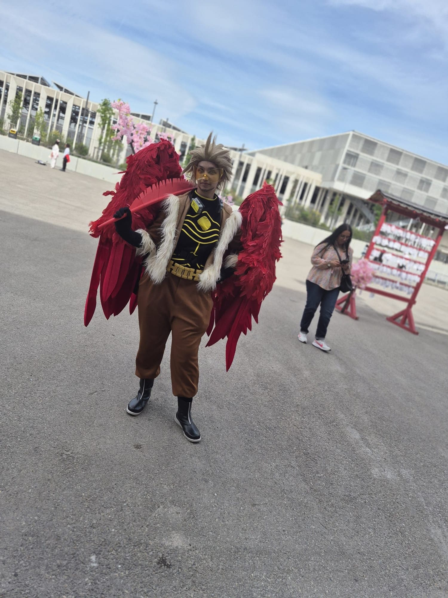 Hawks  - Photo 23