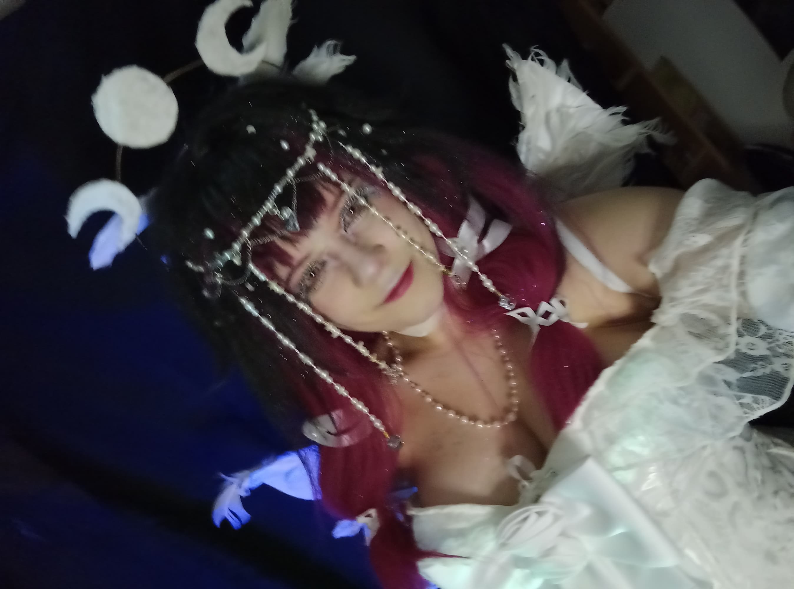 Columbina costest - Photo 1