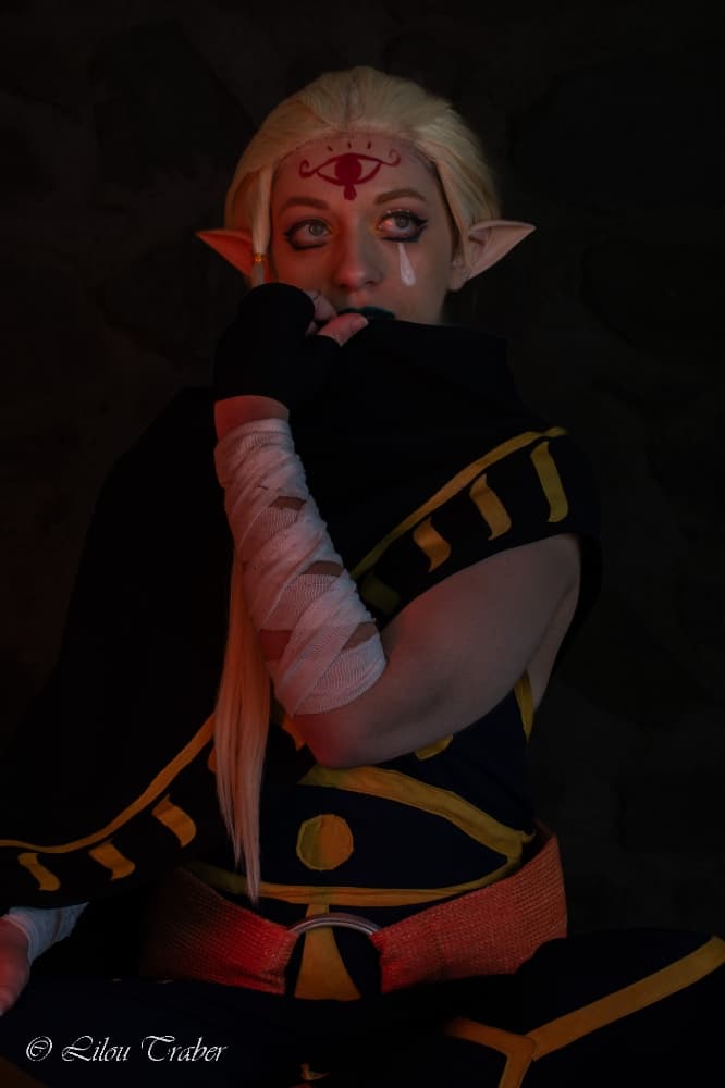 Shoot Skyward Sword - Photo 5