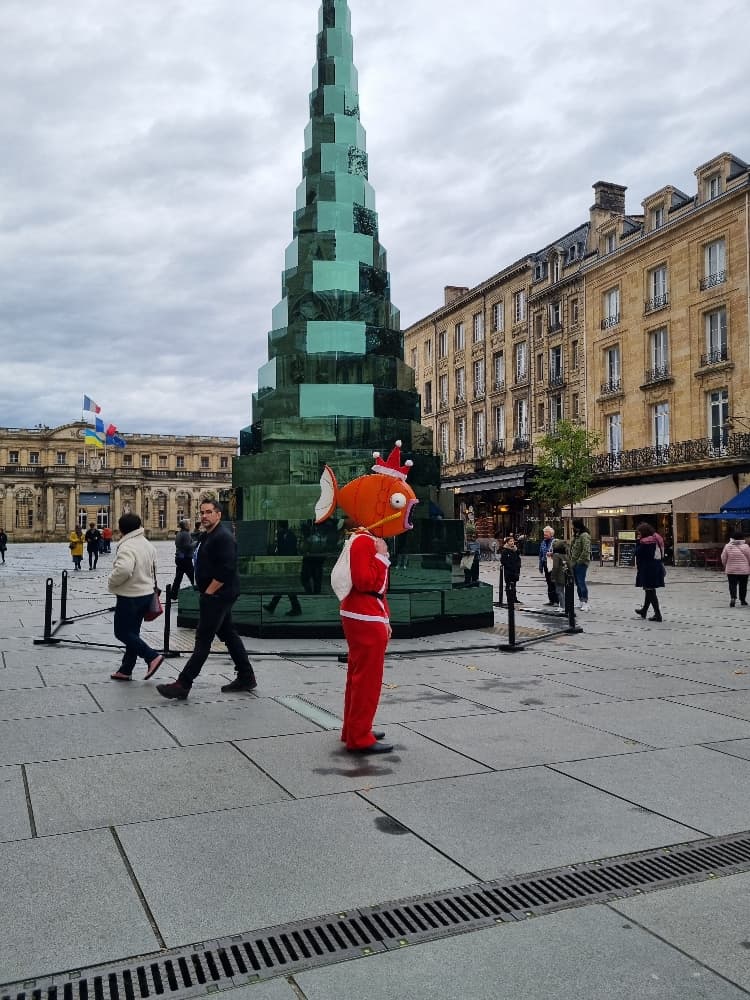 Magicarpe à Noël  - Photo 6