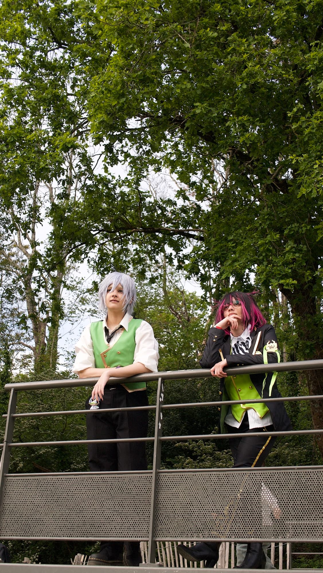 Silver japanantes - Photo 9