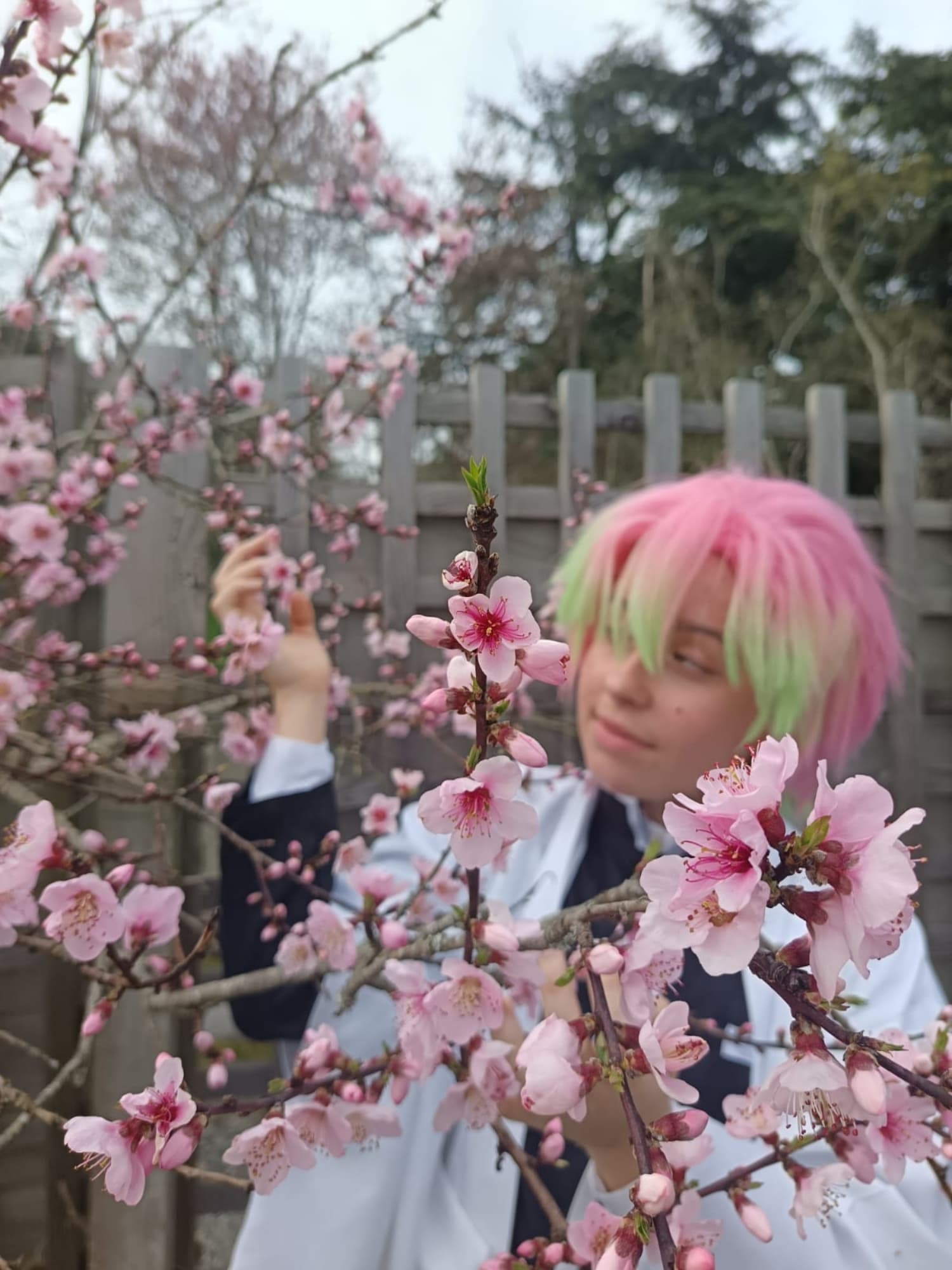 Mitsuri garçon  - Photo 4