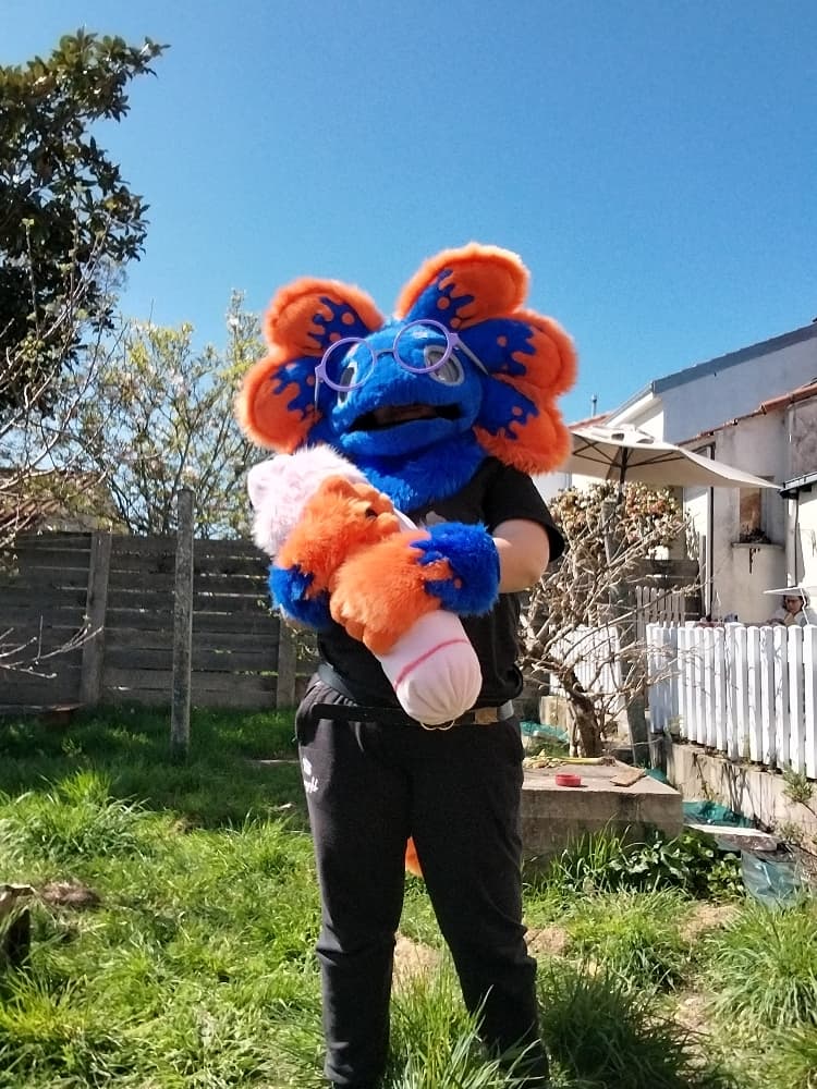 Stellar v2 - Photo 5