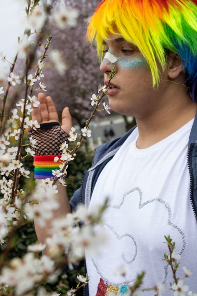 My Little Pony - Photo 17