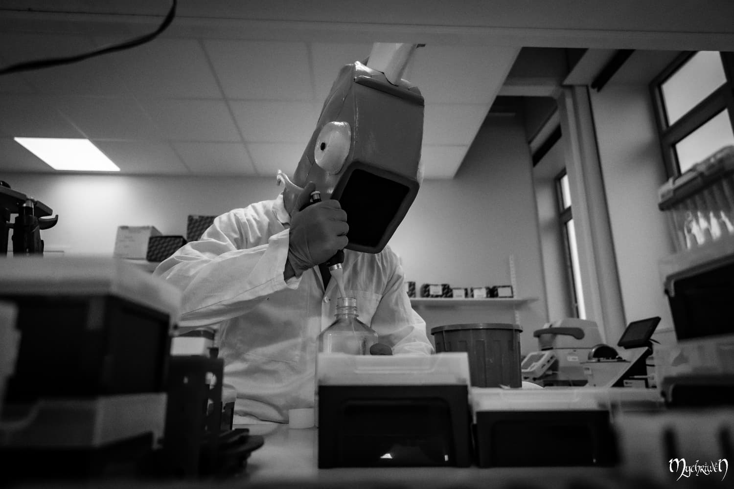 Professor Magicarpe  - Photo 11