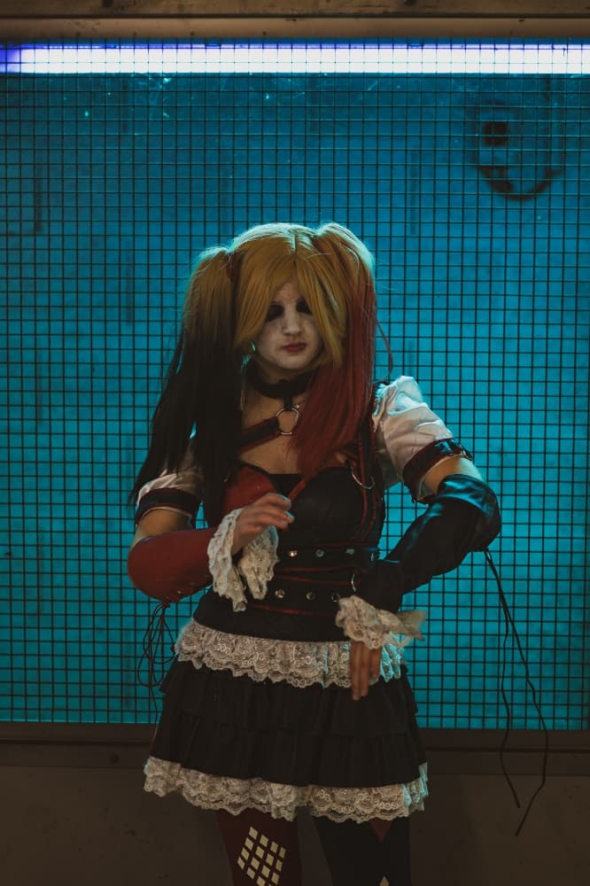 Harley quinn  - Photo 6
