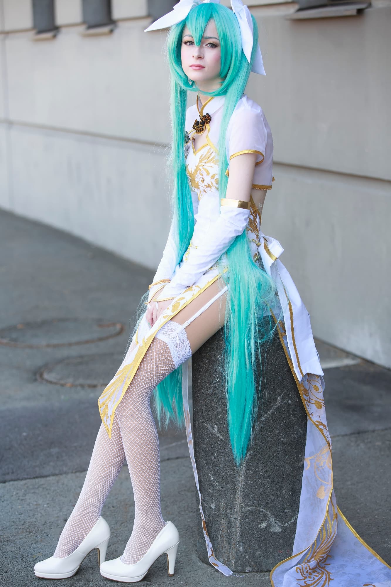 Miku chinese canary - Photo 1