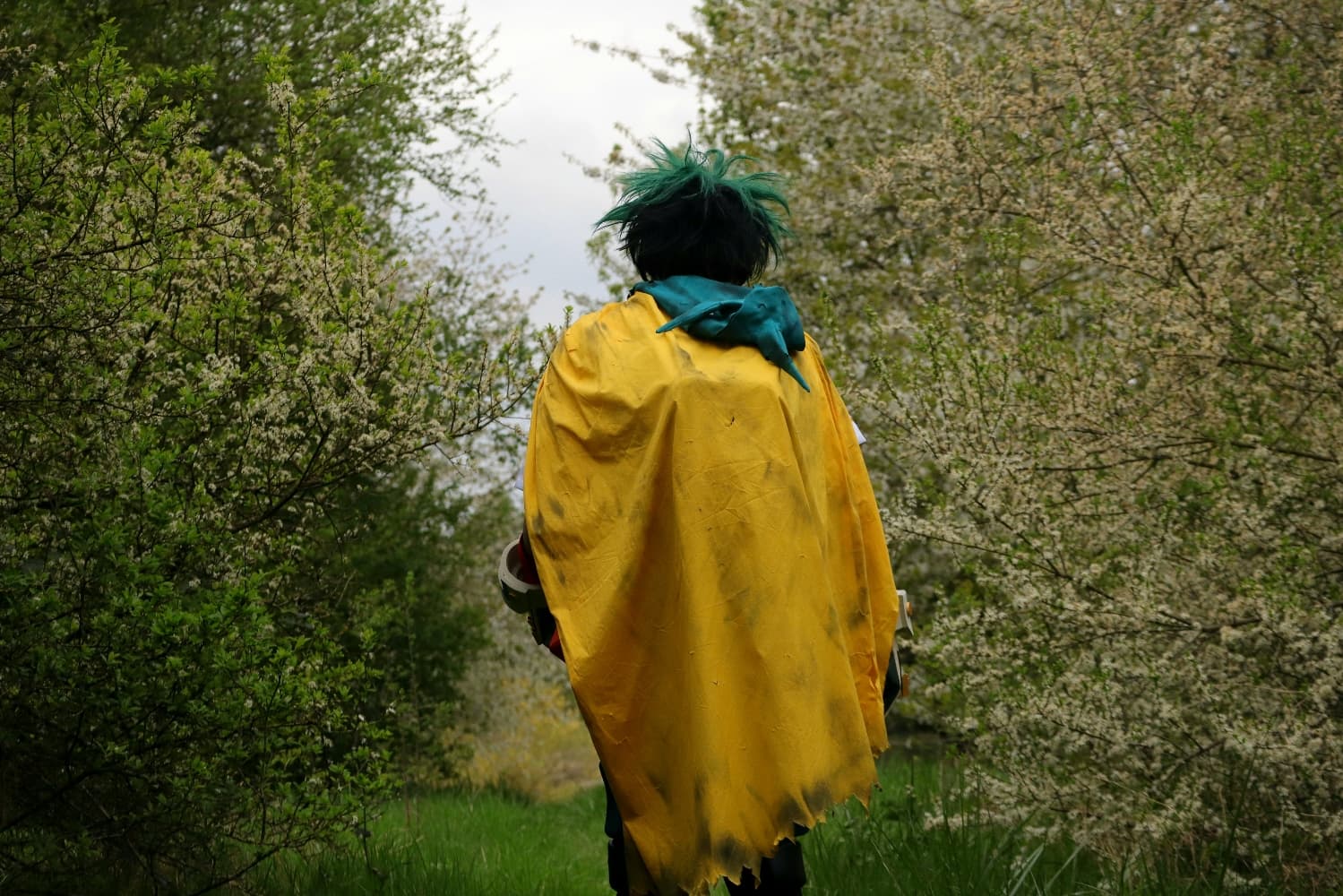 Deku Zeta - 2nd ver. - Photo 2