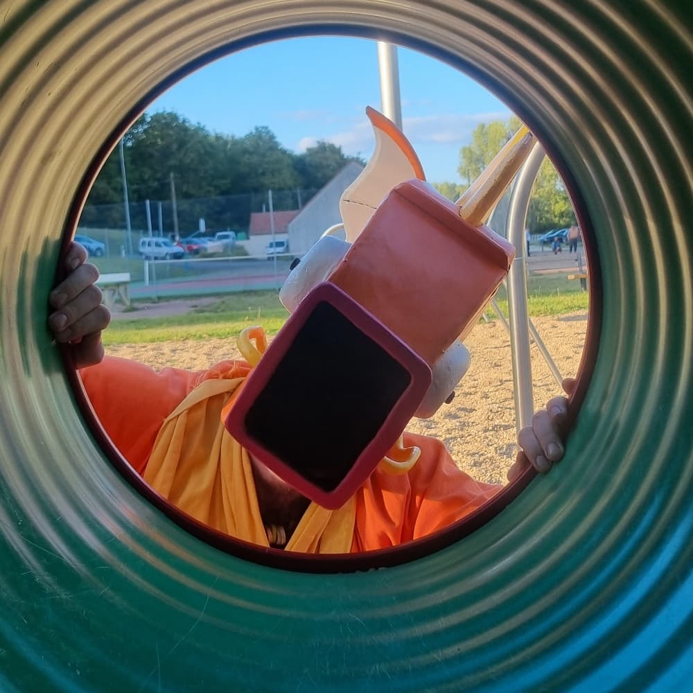 MoinegicarpeFlippant