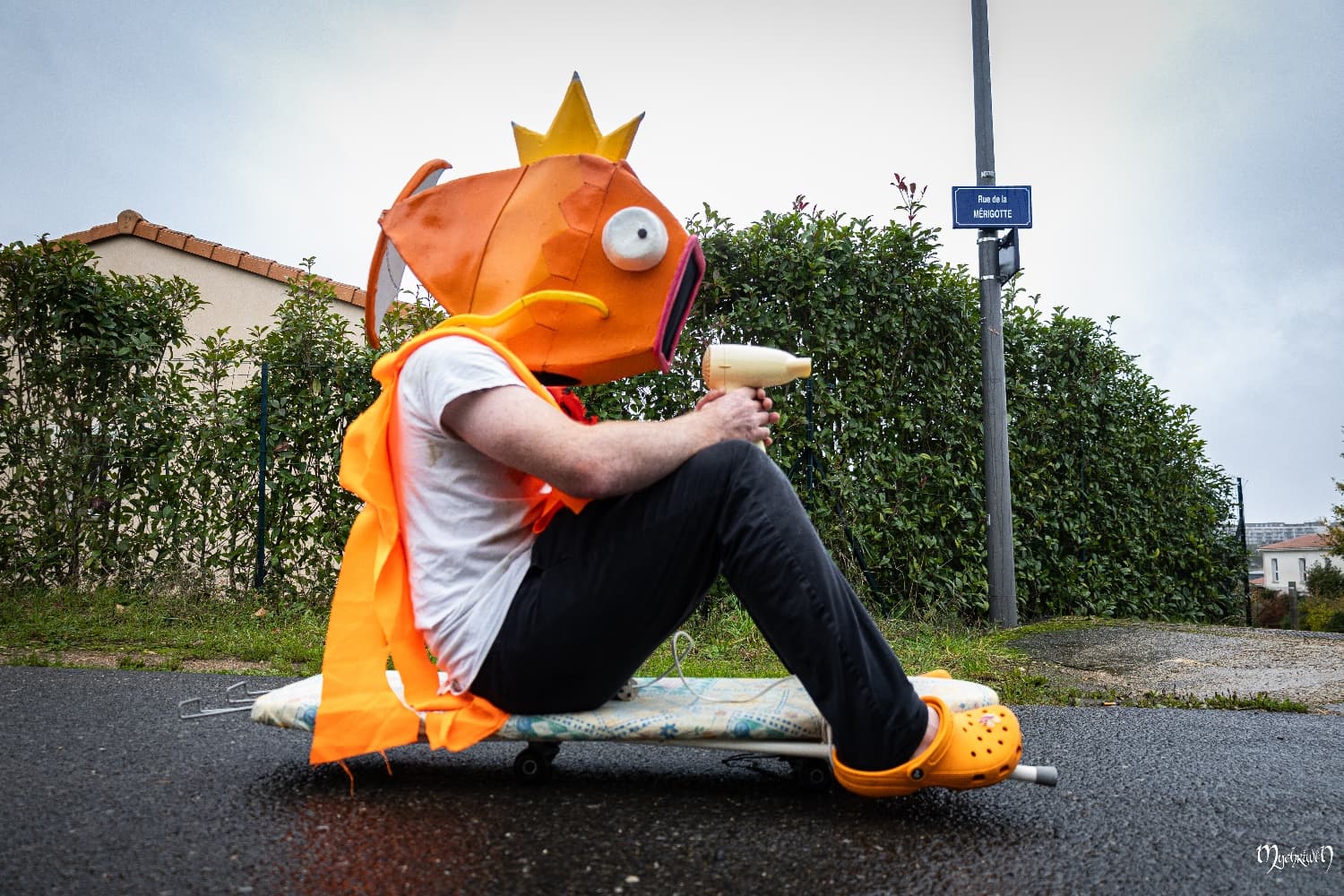 Gare à Pict'Asia - Photo 2