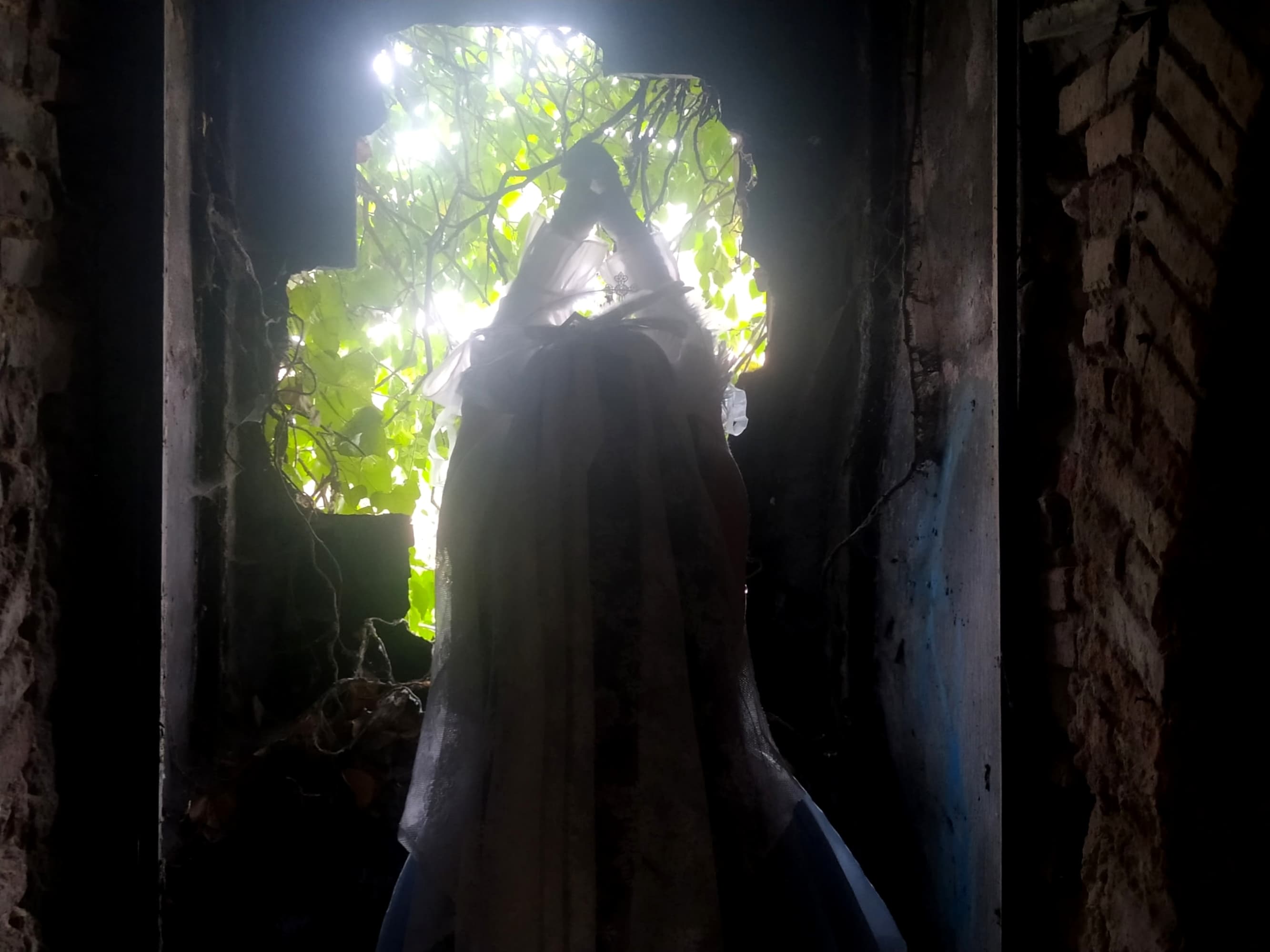 Columbina  - Photo 7