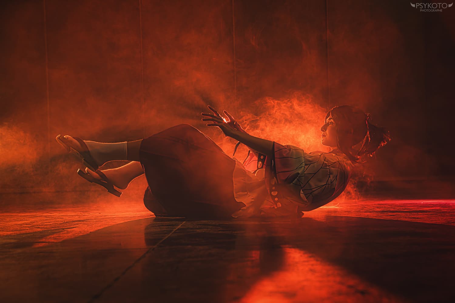 Shinobu Maid - Photo 4