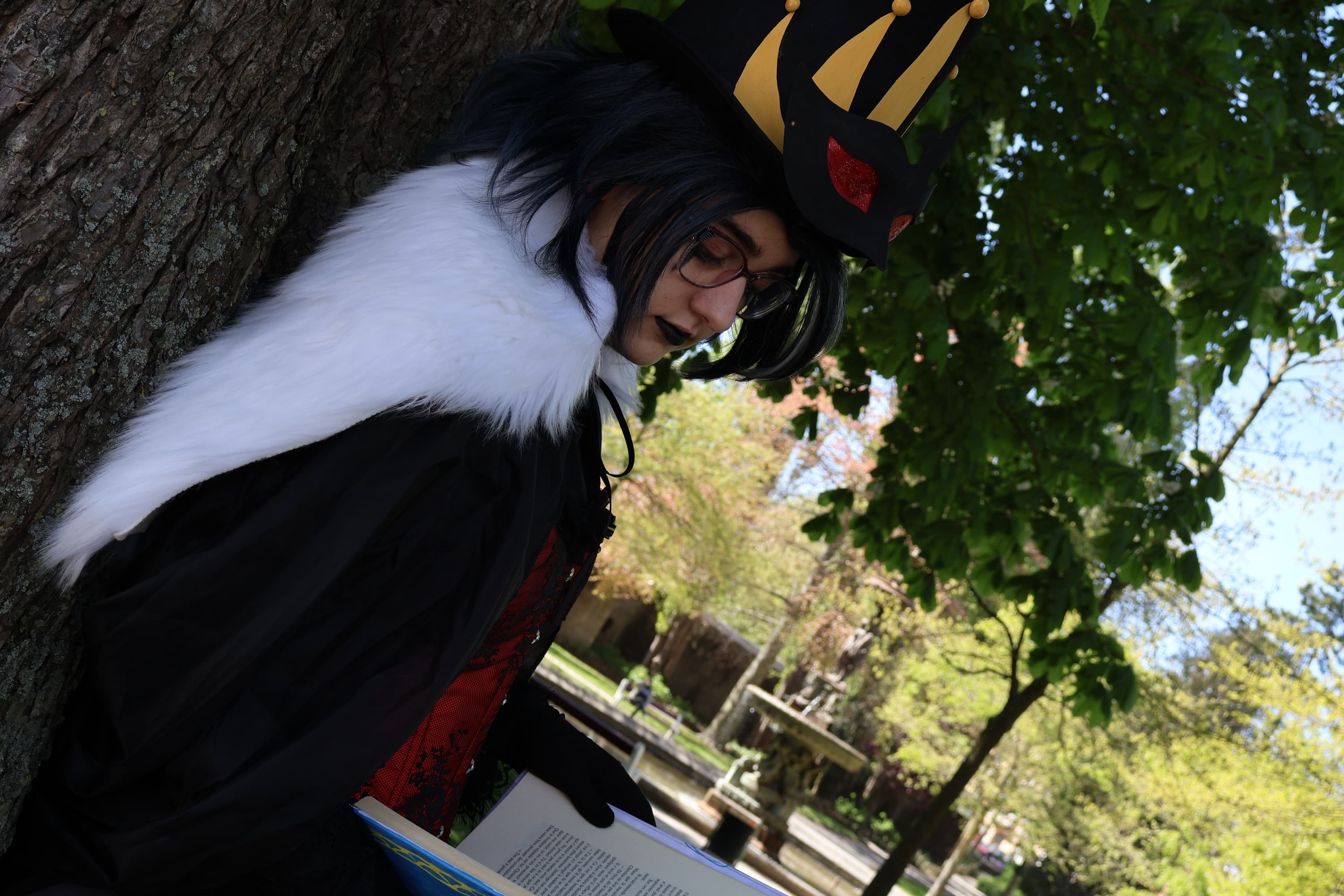 Stolas - Photo 13