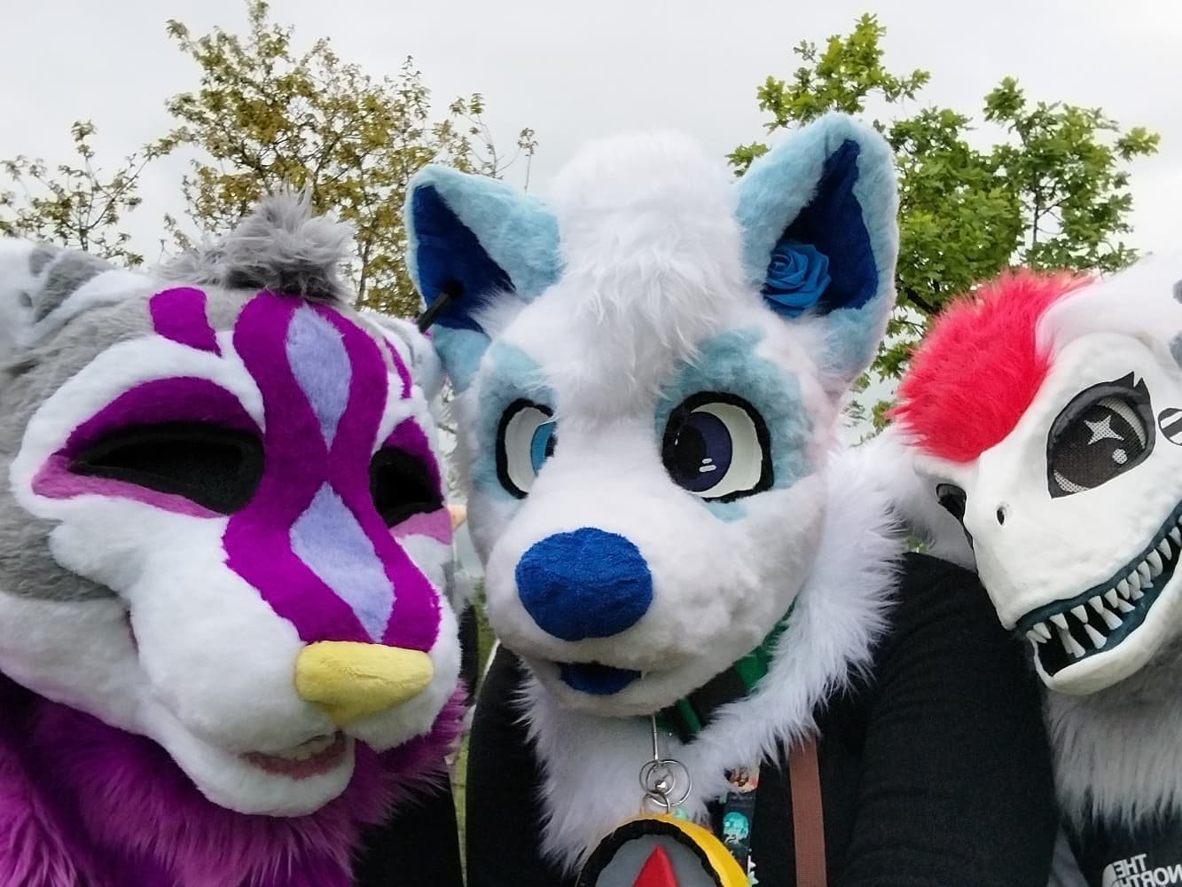 Titan à japanante - Photo 3