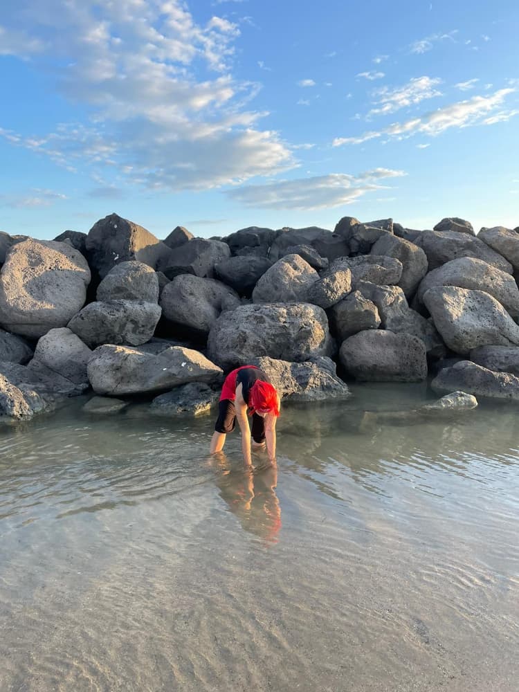 Kirishima pirate  - Photo 12