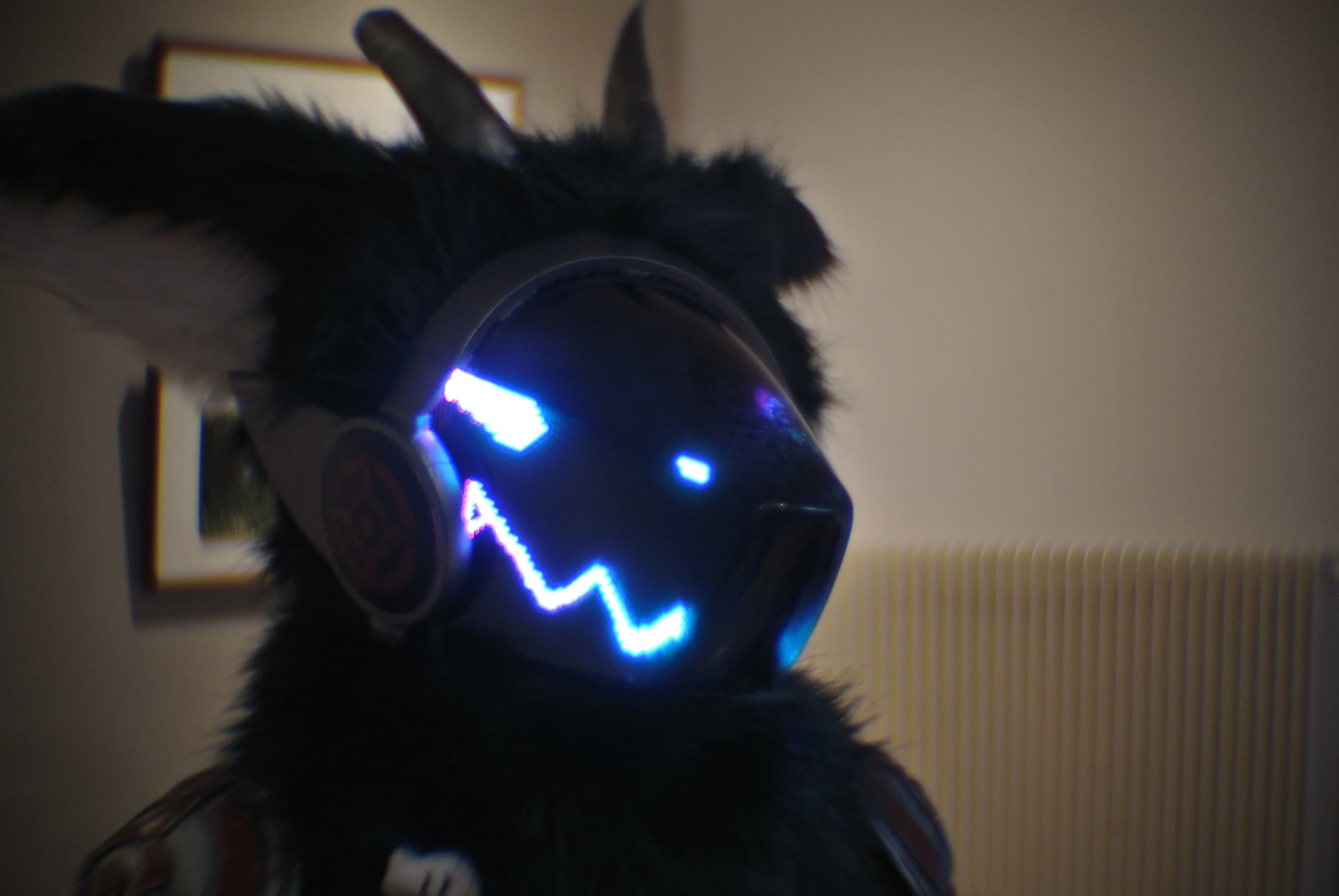 Canthrofur 2024 - Photo 8