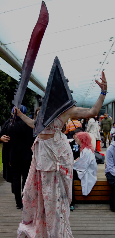 Pyramid head  - Photo 10