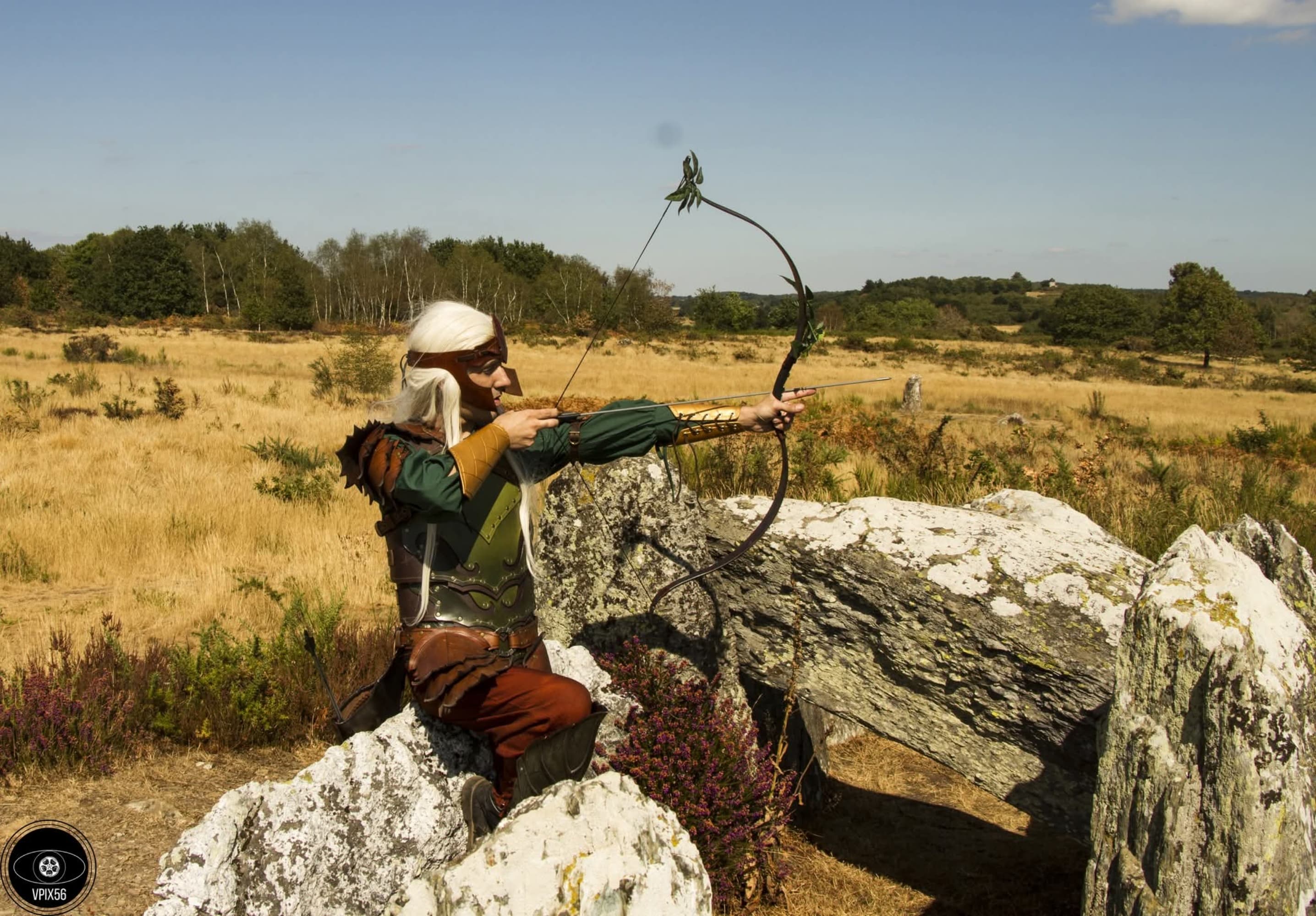 Elle sylvestre - Photo 3