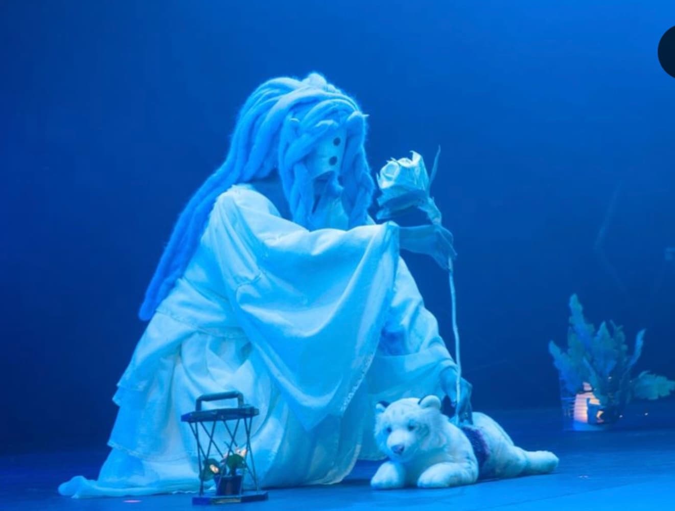 Mujika concours  - Photo 3