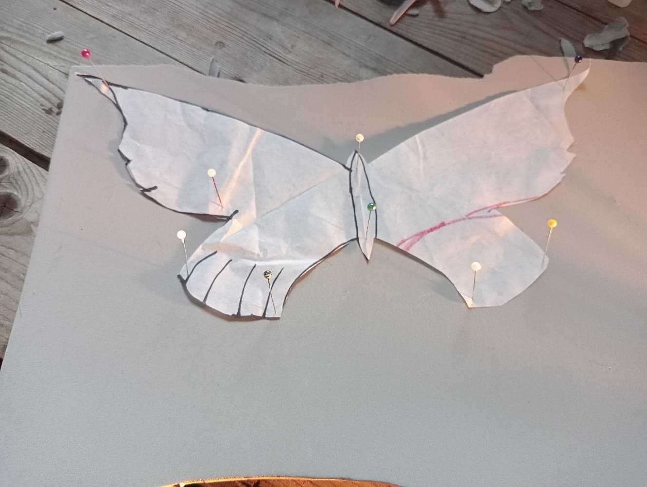 Début de rinwell - Photo 11