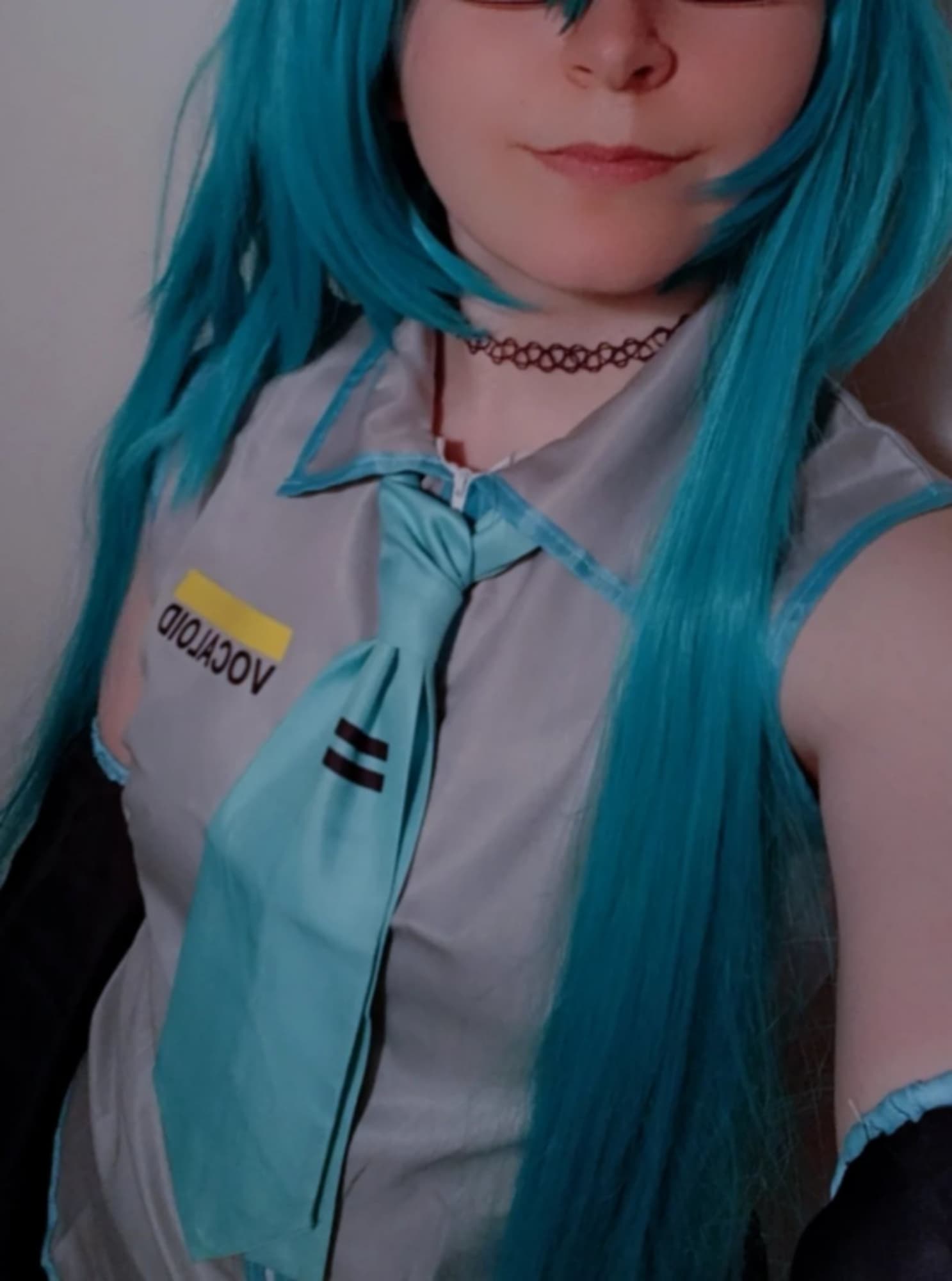 Hatsune miku  - Photo 1