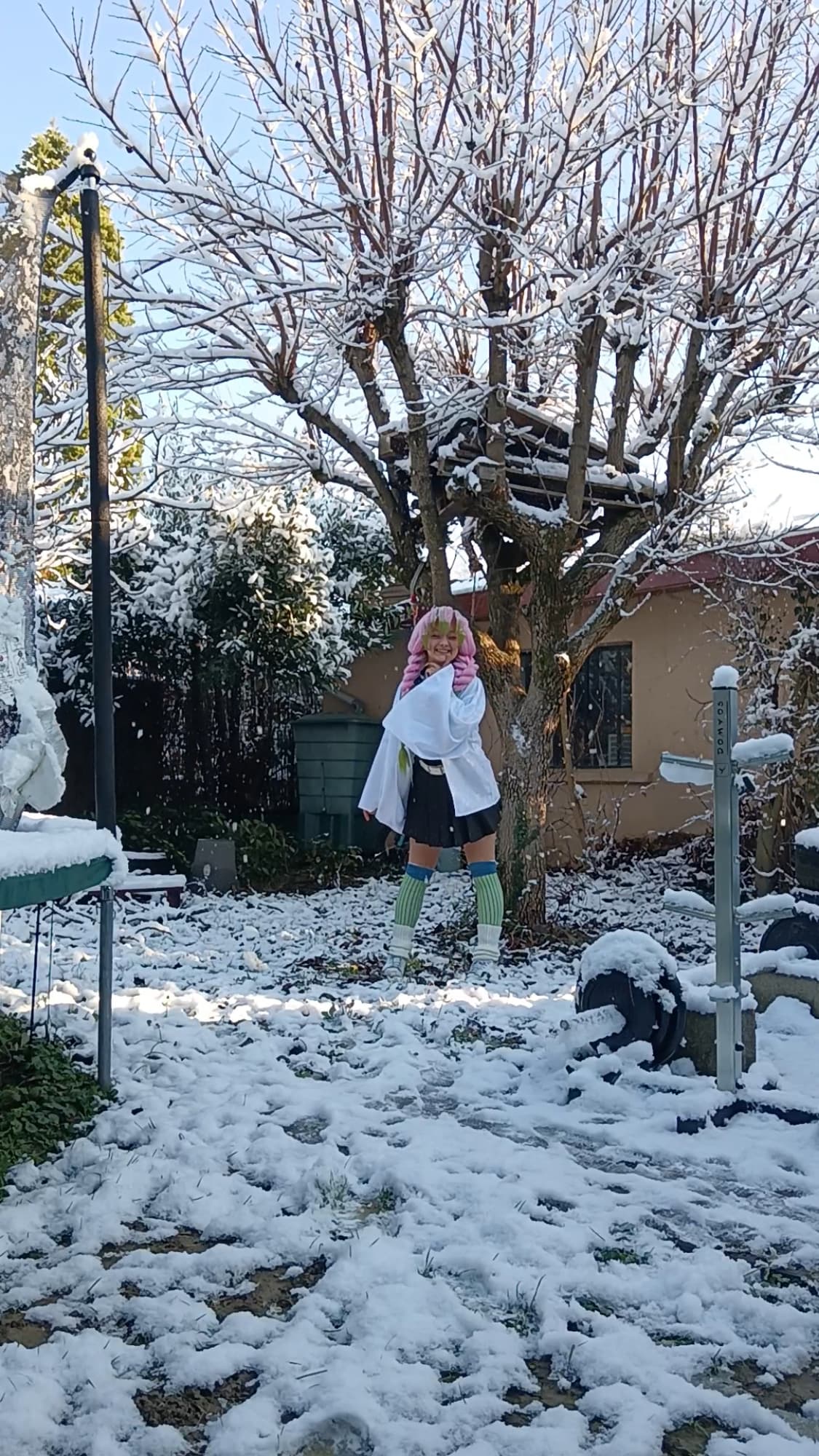 Mitsuri Kanroji - Photo 40