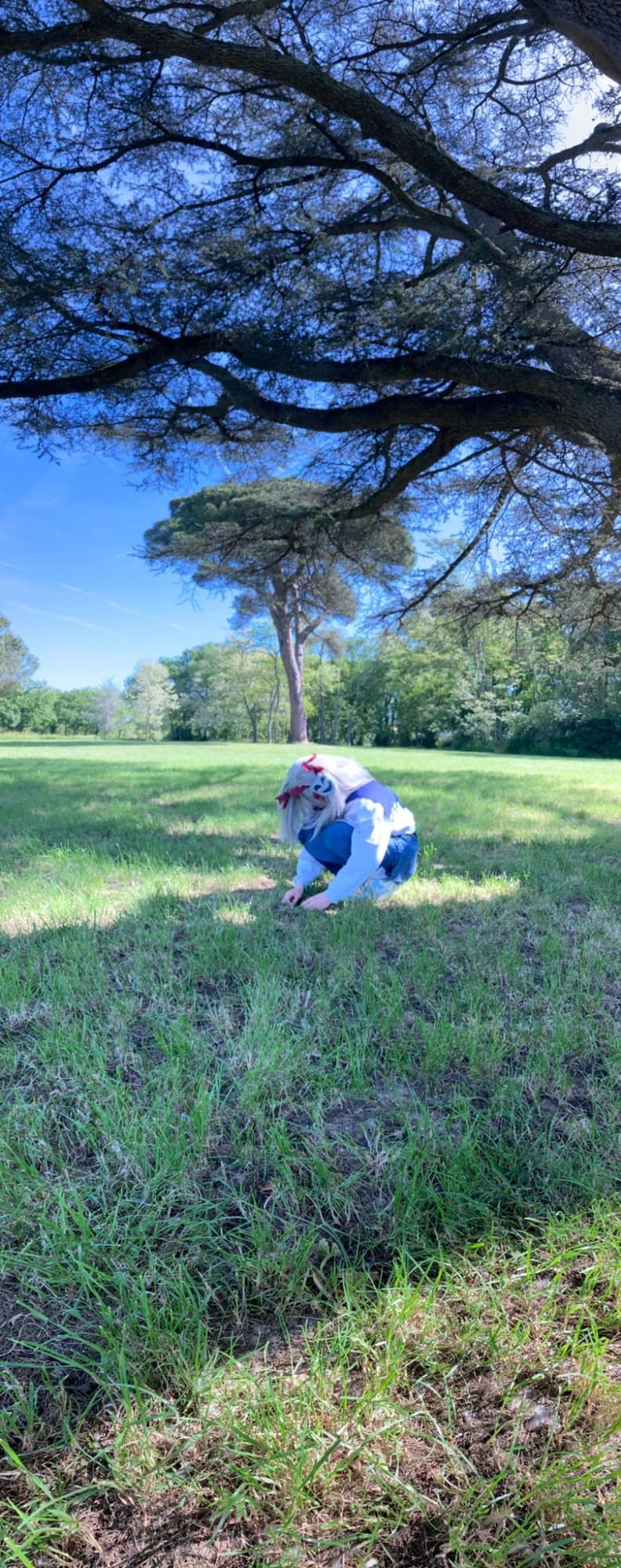 Gangle anime  - Photo 5