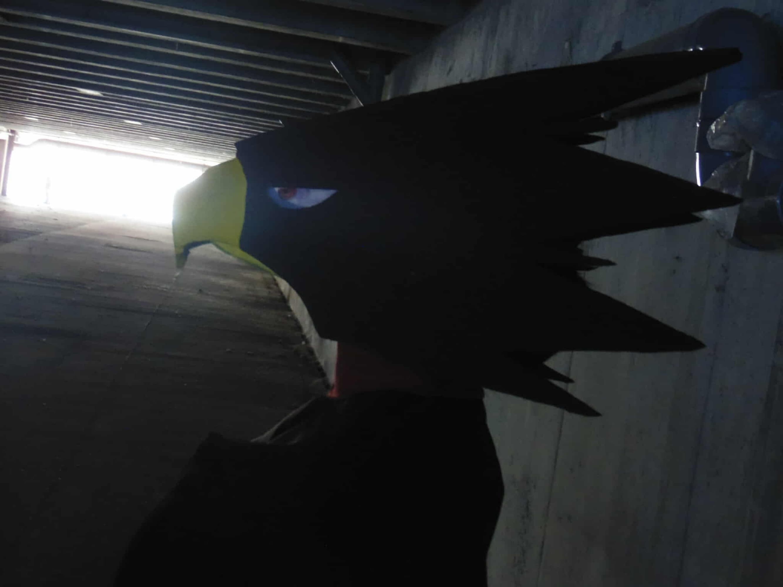 Tokoyami - JapanExpo - Photo 14