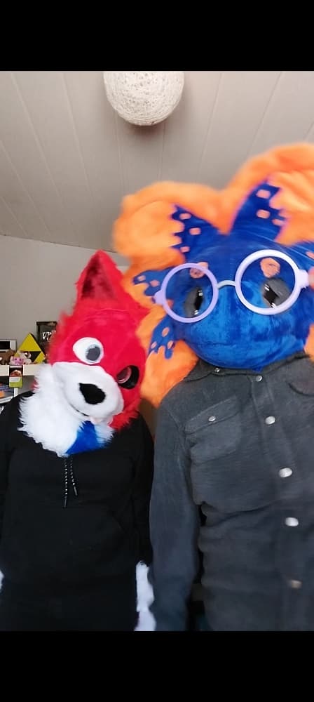 Stellar et Rød Ulva - Photo 1