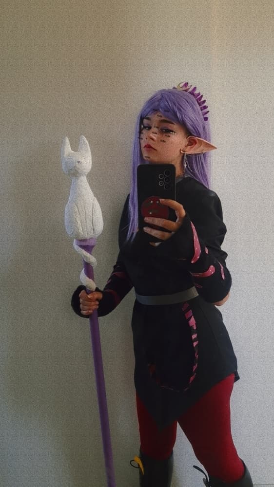 The owl house - Photo 4