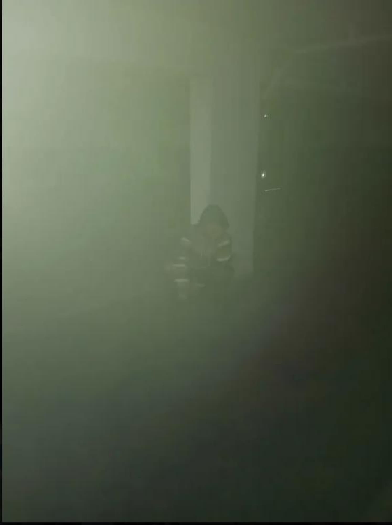 Ticcy toby - Photo 5