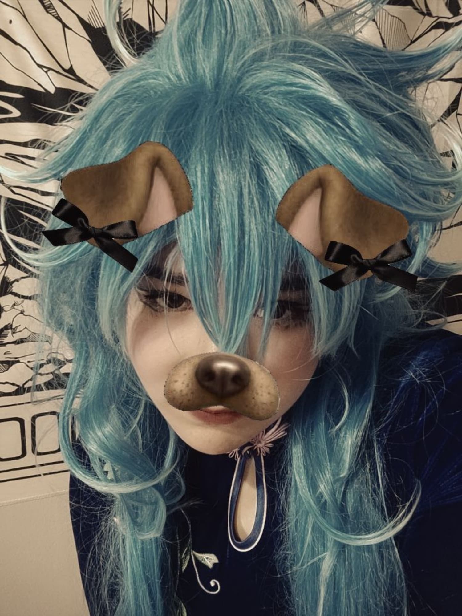 Idia shroud  - Photo 4