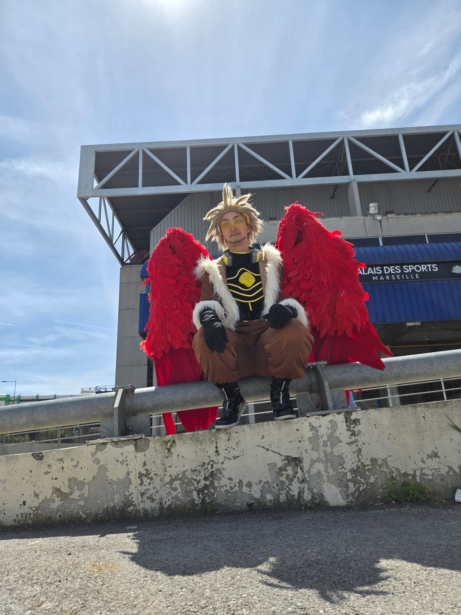 Hawks  - Photo 35