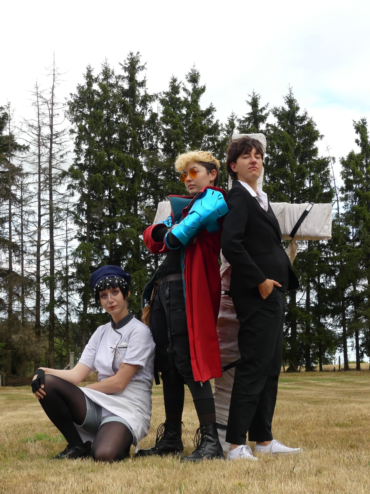 Gevaudan pop culture - Photo 22