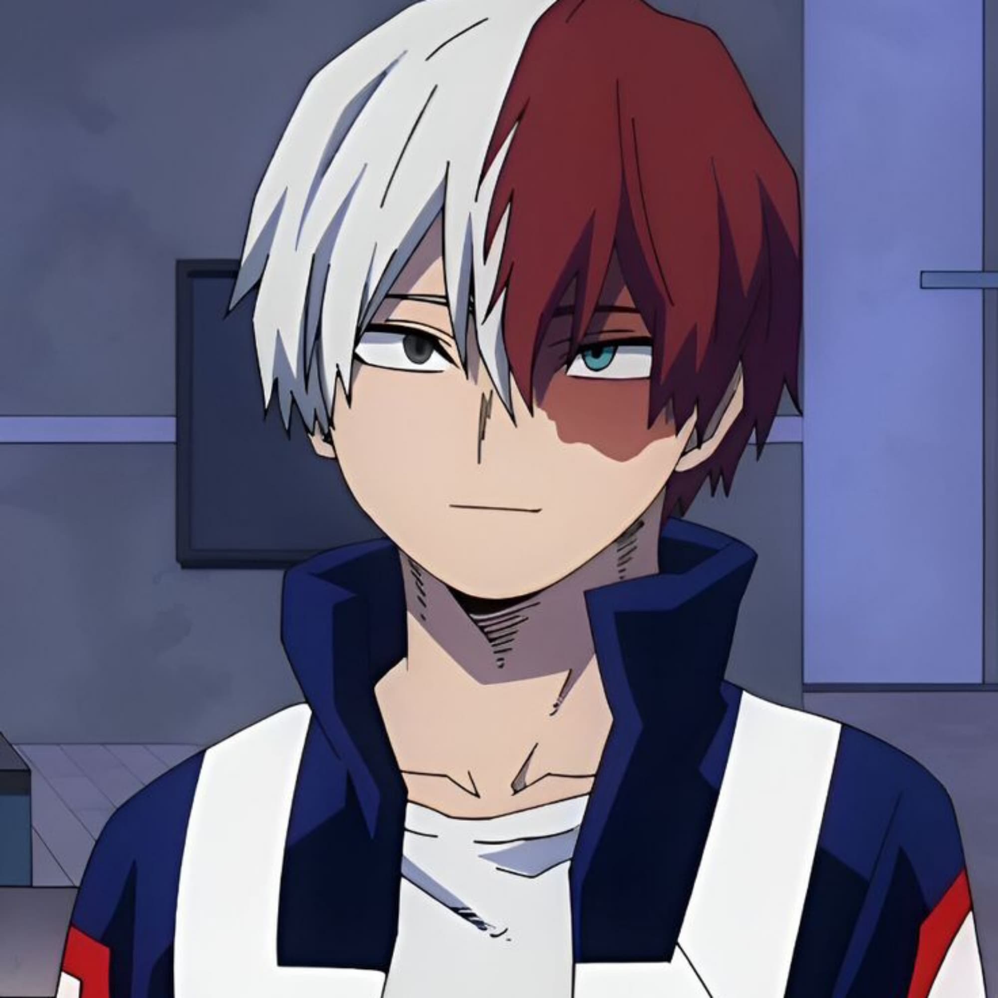 Shoto Todoroki 