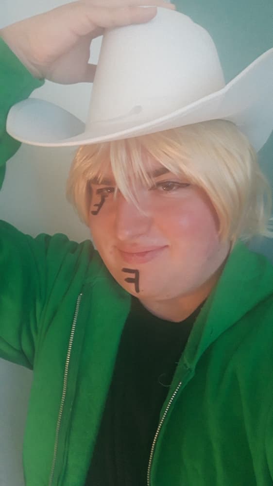 Calico Yorki - Photo 2