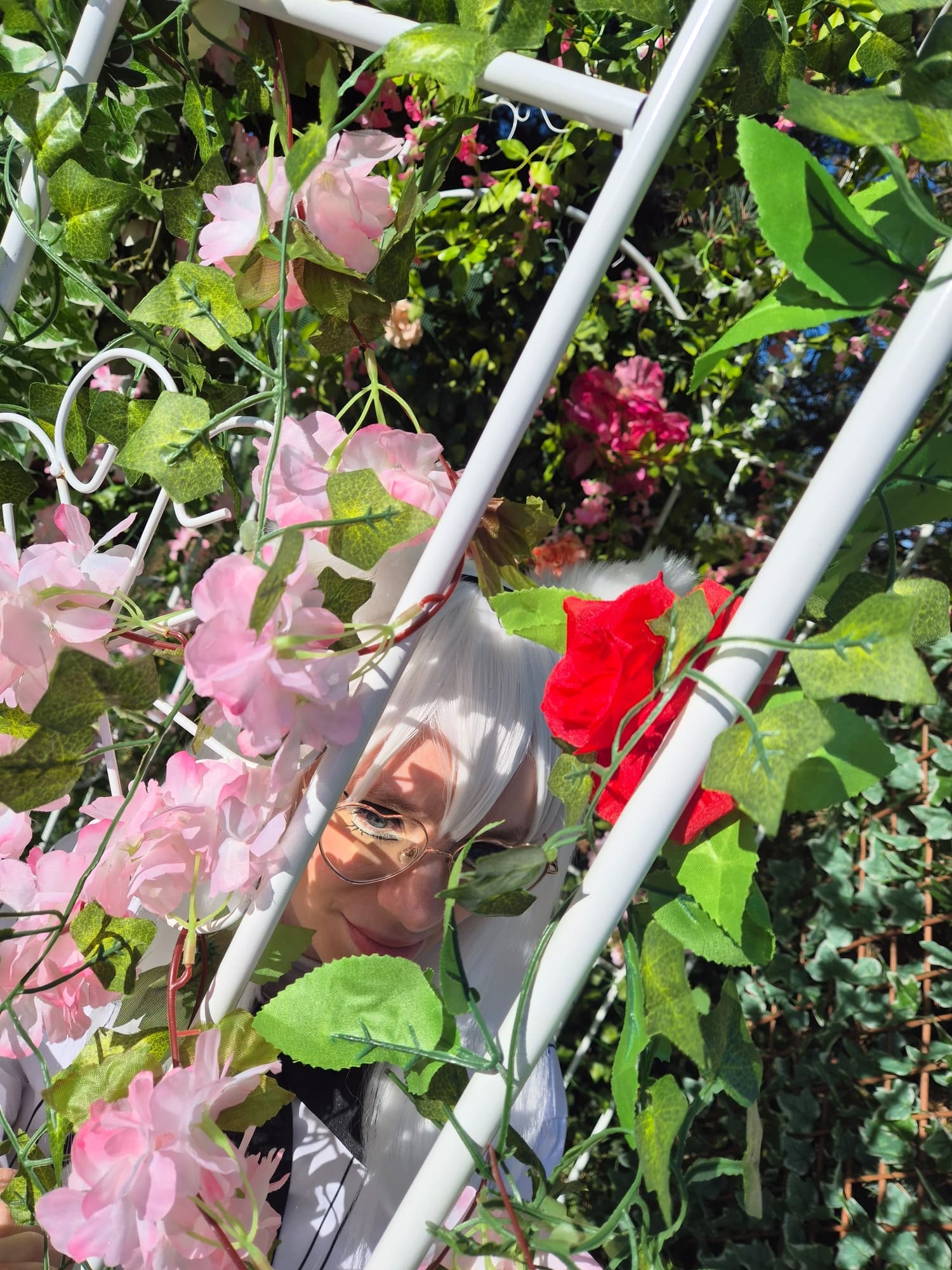 Sortie de Koneko - Photo 22