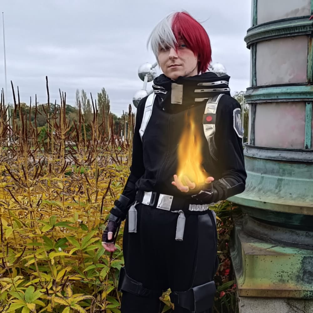 Shoto todoroki 