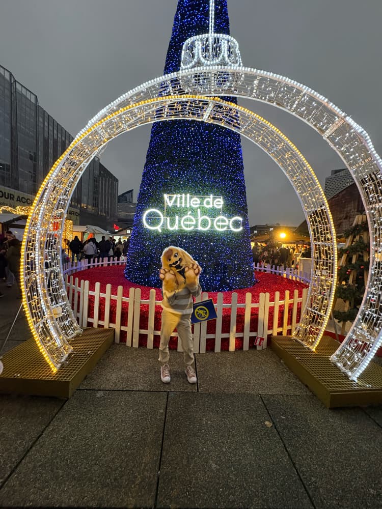 Photos Tapioca - Photo 32