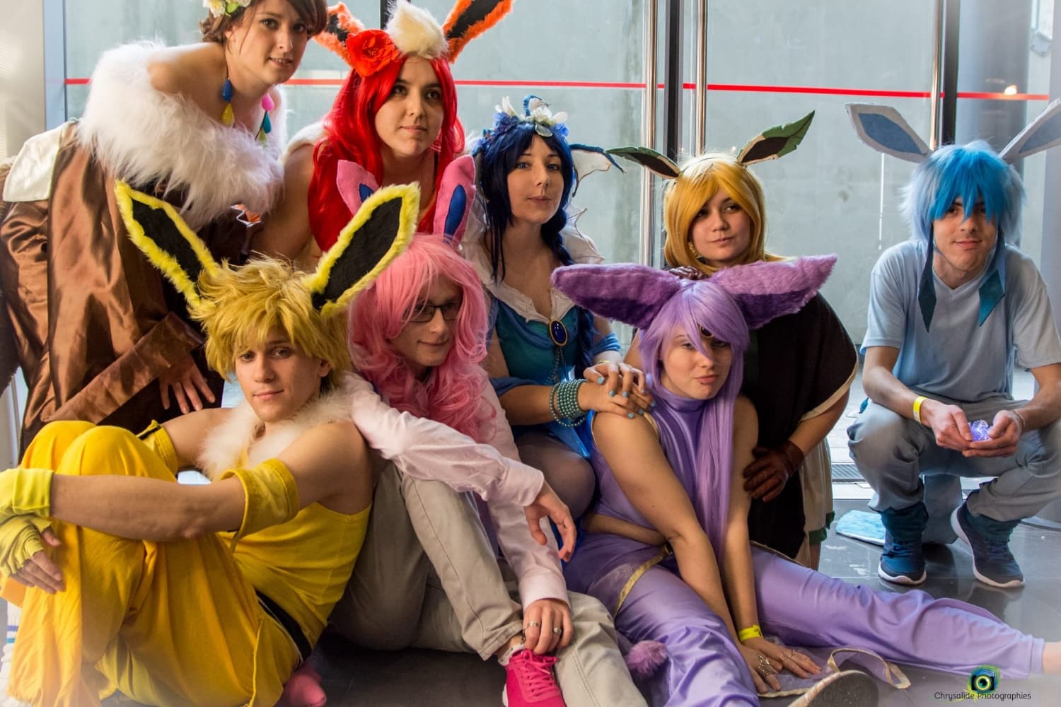 Famille Evoli - Photo 2