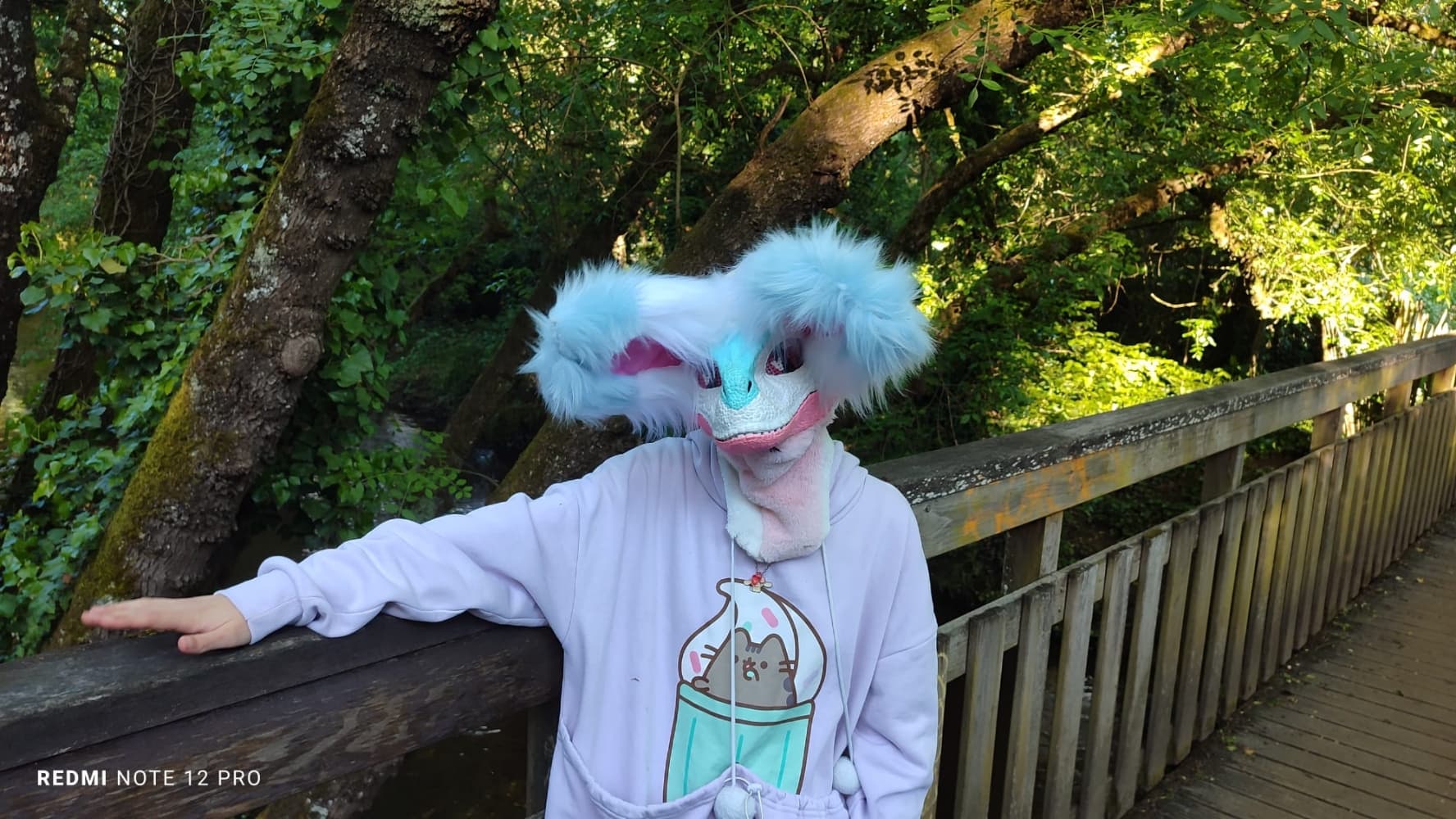 Debut du printemps  - Photo 43