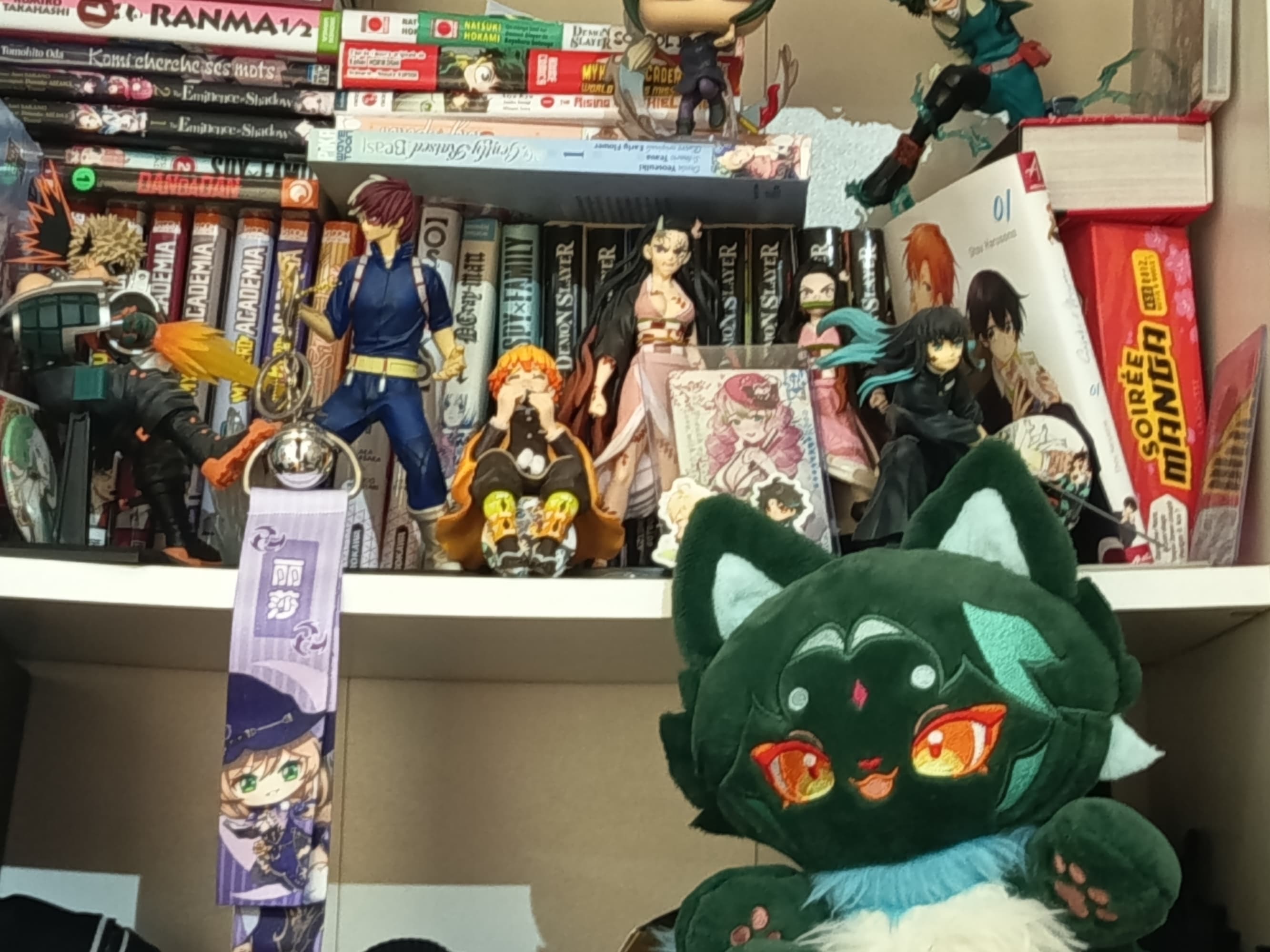 Mericourt - Photo 15