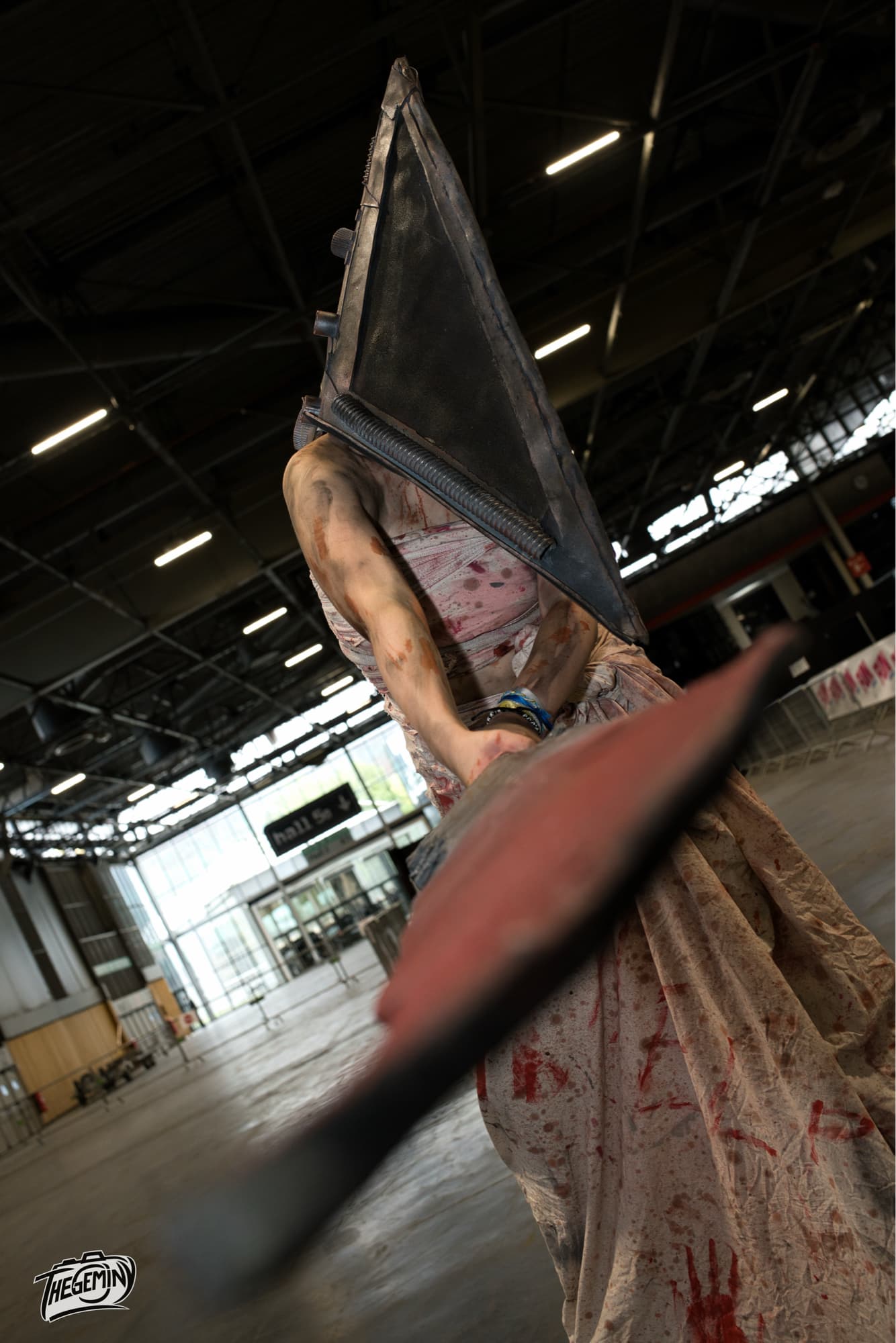 Pyramid head  - Photo 4