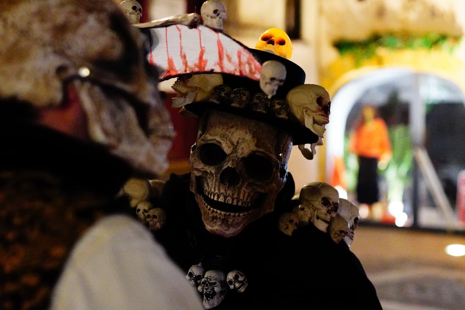 Grande faucheuse  - Photo 2