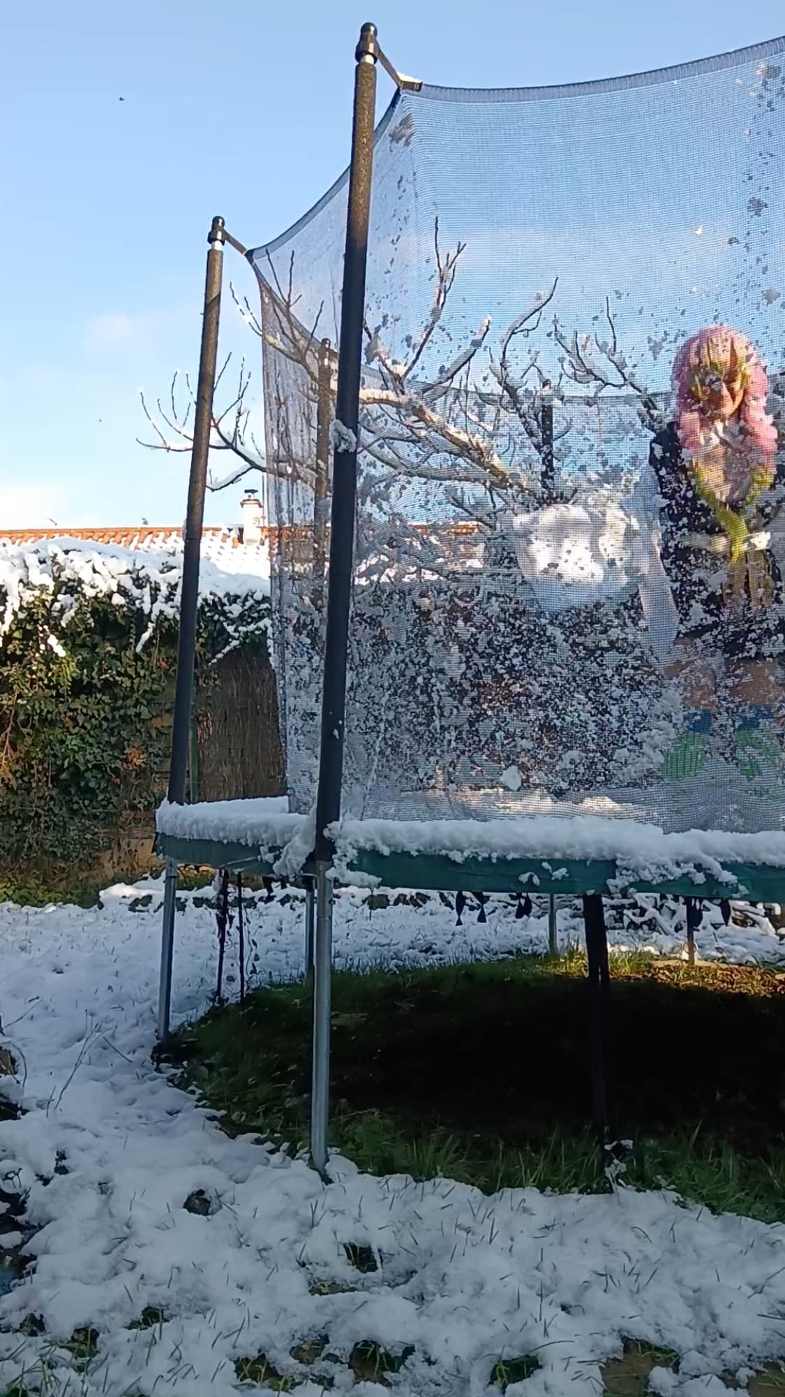 Mitsuri Kanroji - Photo 50